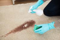 Yeg Carpet Cleaning image 11